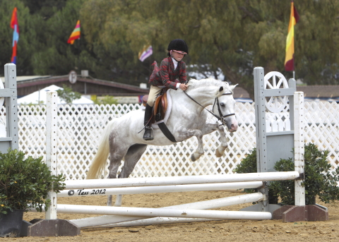 Chaparral's Diamonds And Lace