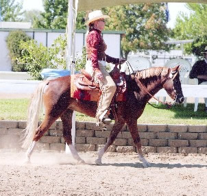 Chaparral's Sweetheart western